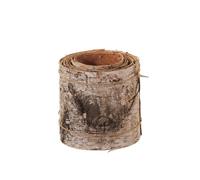 FloristryWarehouse Rotolo di corteccia di betulla 300 cm di lunghezza x 15 cm di larghezza, Marrone