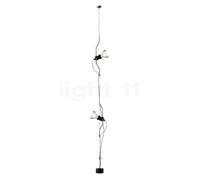 Flos Parentesi 2 fuochi, nichel, con dimmer