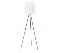 Flos Rosy Angelis, grigio antracite