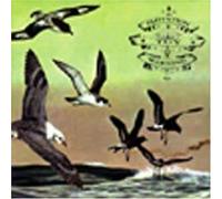 Flotation Toy Warning - Bluffers Guide...