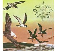 Flotation Toy Warning Bluffer's Guide to the Flight Deck (CD) Album