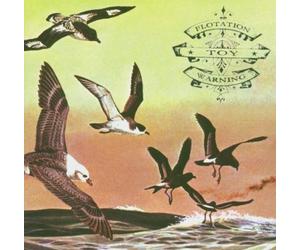 Flotation Toy Warning Bluffer's Guide to the Flight Deck (CD) Album