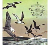 Flotation Toy Warning Bluffer's Guide to the Flight Deck (Vinyl LP)