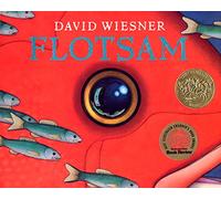 Flotsam: A Caldecott Award Winner