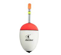 Flotteur luminoso da pesca in EVA da 10 a 100 g per pesca in mare, pesca alla carpa, 10 taglie a scelta