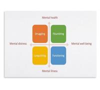 Flourishing Struggling Poster Mental Health Quadrant Guide