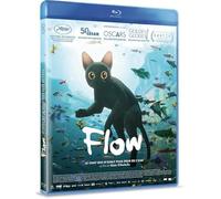 Flow, le chat qui n'avait plus peur de l'eau