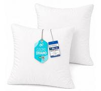 Flowen Cuscini per Divano 50x50 Imbottitura Cuscini 2 pezzi Interno Decorativi Quadrati Morbidi con Federe in Poliestere Bianca Anallergici Antiacaro Arredo Casa Salotto Letto Lavabili