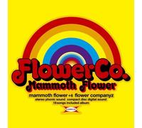 Flower Companyz - Mammoth Flower