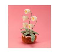 Flower Crochet Knitting Kit for Beginner with Yarn Thread Crochet Hook Needles Accessories Set DIY Starter Material Pack