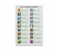 Flower Essence Chart Art, Decorative Botanical Guide Canvas Poster, Holistic Theme Wall Decor for Bedroom Living Room(Unframed,12x18inch(30x45cm))