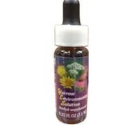 Flower Essence Services Soluzione Ambientale Yarrow 0.25 oz