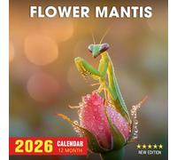 Flower Mantis Calendar 2026: A year of elegant floral-like insects