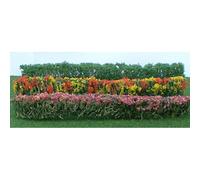 Flowering Plants Series: Flower Hedges