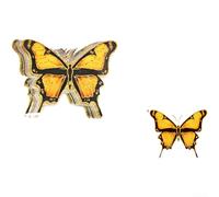 Floweringbeter Adesivi 3D a forma di farfalla per decorazione da parete, in PVC, impermeabili, set di adesivi per casa e ufficio, per matrimoni ed eventi (PY16009-13 x 14 cm)