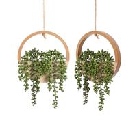 Floweroyal 2 piante grasse artificiali da appendere, 30 cm, filo di perle finte in vaso con cordino da 20 cm, per decorazione da parete interna ed esterna (colore legno).