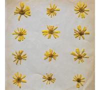 Flowers In The Spring - The Molochs (Vinile)
