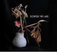 Flowers We Are Flowers We Are (CD) Album