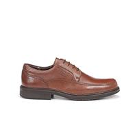Fluchos 9579 CIDACOS Libano Clipper (45)
