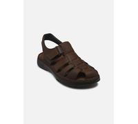 Fluchos - AZORES F2198 Marrone - Sandali e scarpe aperte 43 Marrone