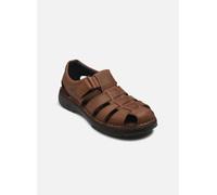 Fluchos - AZORES F2199 Marrone - Sandali e scarpe aperte 40 Marrone