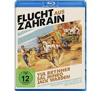 Flucht aus Zahrain (Escape from Zahrain)