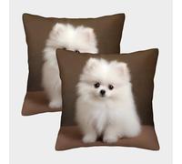 Fluffy White Puppy-cute Pet Photography Federe Cuscini Per Divano Decorative Art Fodere Per Cuscini 2 Pezzi Quadrate Moderna Da Letto Per Salotto 40x40cm