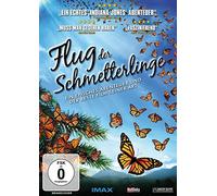 Flug der Schmetterlinge