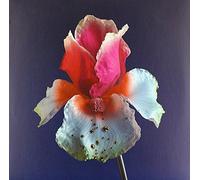 Flume - Tiny Cities Feat Beck (Lindstrom & Prins Thomas Re