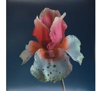 Flume Tiny Cities feat. Beck Lindstrom & Prins Thomas Remix Take A Ch (Vinyl LP)