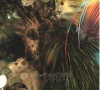 Fluorescent Grey - Lying On The Floor Mingling With God In A Tijuana Hotel Room Next Door To A Veterinary Supply Store