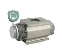 flussometro gas ruota vita turbina(LLQ-60 DN50)