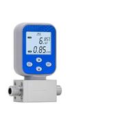 Flussometro, Misuratore di portata massico termico digitale for gas - Misurazione ad alta precisione for GPL, CH4, idrogeno(DN10)