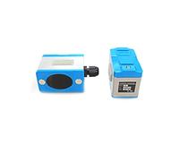Flussometro TUF-2000M, sensore TUF-2000B, trasduttore ultrasonico TS-2 (DN25~100mm)/TM-1 (DN50~700)/TL-1-HT/TC-1, accessori per acqua, diesel, benzina e altri liquidi. (TM-1 sensore)