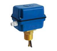 Flussostato per liquidi Watts FLU25PL 1 pollice IP64 10 bar 0401225