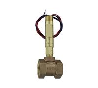 Flussostato V6EPB-BD-3-B-AT,V6EPB-BD-3-B-CSA interruttore di flusso(V6EPB-B-D-3-B-AT)