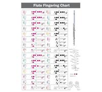 Flute Poster - Complete Fingering Chart with Color-Coded Notes | Educational Wall Art for Music Students & Teachers(Unframed,16x24inch(40x60cm))