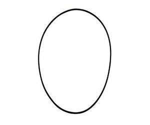 FLUVAL Guarnizione per tappo filtro del filtro esterno FX4, FX5 e FX6, 1 pezzo