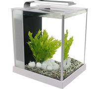 Fluval SPEC 5 Nano Acquario 10 Litri - bianco