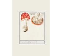 ‘Fly agaric, Amanita muscaria’ Hardcover 6x9 Inch Matte Journal, 150 Lined White Pages: Artwork by Anselmus Boëtius de Boodt (1596-1610)