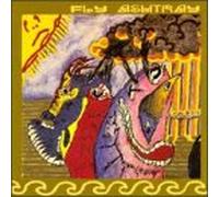 Fly Ashtray - Tone Sensations of the Wonde