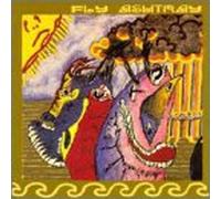 Fly Ashtray - Tone Sensations of the Wonderm