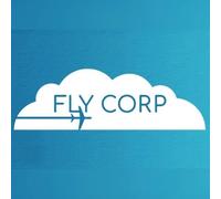Fly Corp (PC) Steam Key - GLOBAL