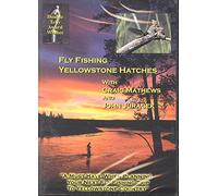 Fly Fishing Yellowstone Hatches
