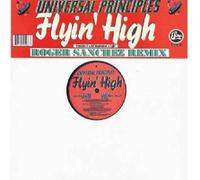 Flyin High - Universal Principals 12"