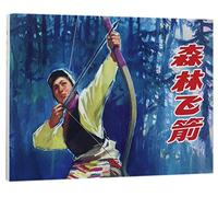 Flying Arrows in the Forest (Chinese Edition)