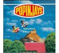 Flying Down to Mono Valley by Popinjays