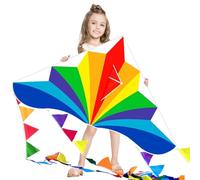 Flying Hoofer Grande aquilone arcobaleno Delta per bambini e adulti, aquilone da spiaggia a linea singola per bambini dai 4 agli 8 anni e 8 ai 12 anni, aquilone facile da mosca per bambini e