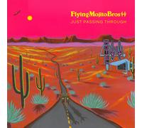 Flying Mojito Bros Just Passing Through (Vinyl LP) 12" Album