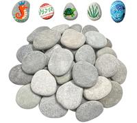 Flying Pottery 25 Pezzi Rocce Naturali di Disegno,4-6 cm Sassi da Dipingere | Dipingere i Ciottoli, Per Pittura Fai da Te, Decorazione di Giardini e Acquari (Grigio)